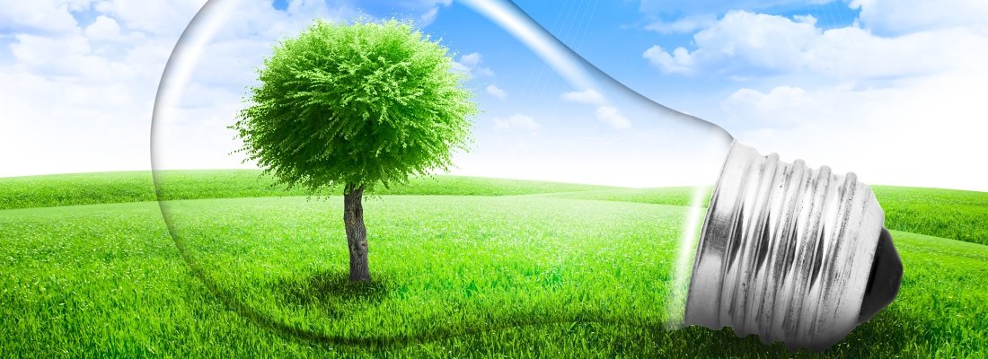 Lightbulb with a tree growing inside in field. Environment or energy concept background